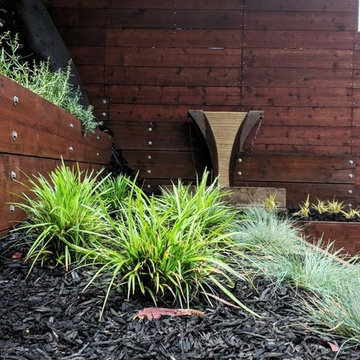 Low Voltage LED's Illuminate Drought Tolerant Planting