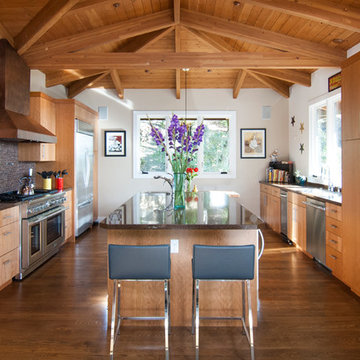 Orinda Contemporary Home
