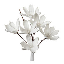 letha_sayavong's Flower Ideas