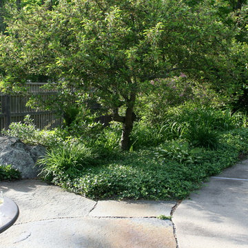 Pool, patio and steps of large natural stone
