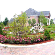 Frontyard