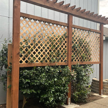 Patio garden