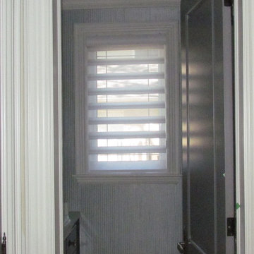 Hunter Douglas Pirouette Shadings