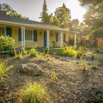 Menlo Park Xeriscape