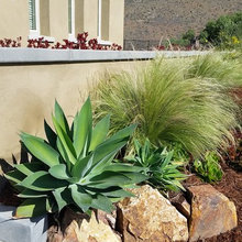 AZ Landscape