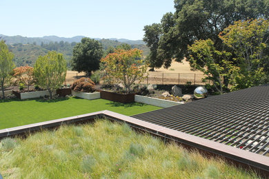 Home design - contemporary home design idea in San Francisco