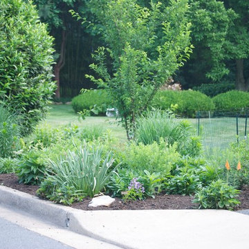 Side Yard Garden Design & Build