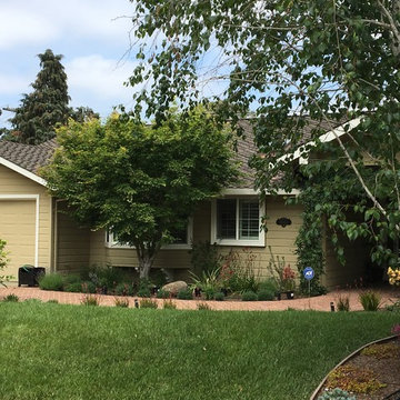 Saratoga - Lawn replacement & reduction