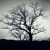 Peter Koonz's photo