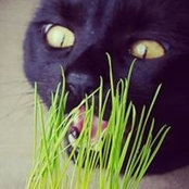 Alisa Farnham's photo