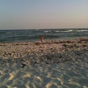 Donna McBride's photo