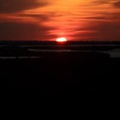 Cheri Lee's photo