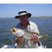Gerald Grove's photo