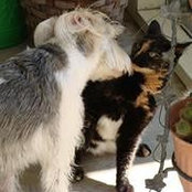 Sandy Martiz's photo
