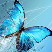Sue Connolly Bliesath's photo
