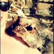 Jonny Philp's photo