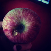N. E.s foto