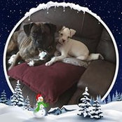 Michelle Guelce's photo