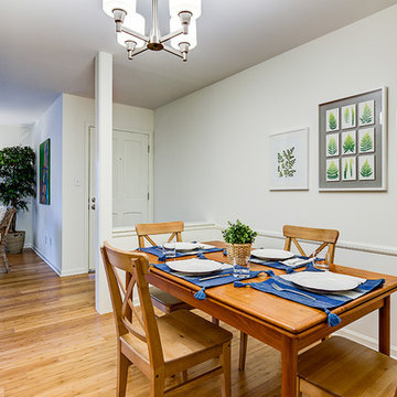 Atlanta Condominium