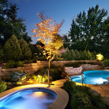 Hinsdale, IL Freeform Pool and Hot Tub