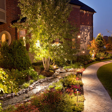 Backyard Rainforest & Garden