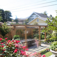 Trellis