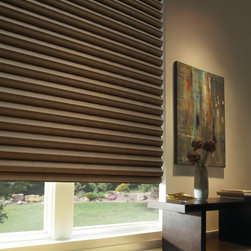 Contemporary Brown Hallway Custom Window Roman Shades by Hunter Douglas - Roman Shades