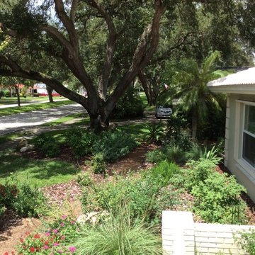 Stewart blvd clearwater