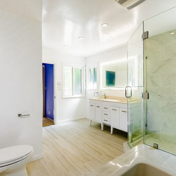Bright Contemporary Master Bath