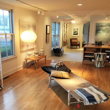 Danish Design Meets American Art
