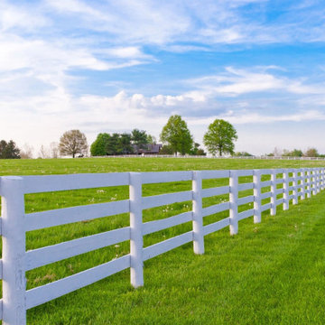 White Fence