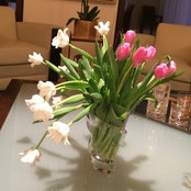 Elina Bilman's photo