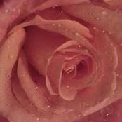 Tamra Stevens's photo