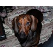 Sandra Perkins's photo