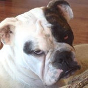 Robin Worthen's photo