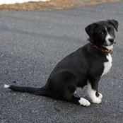 Chris Wolfe's photo