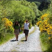 Gretchen Hart's photo