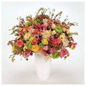 Sascha Krueger's photo