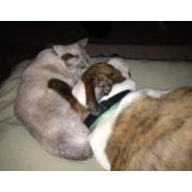 Nancy Ritchie's photo