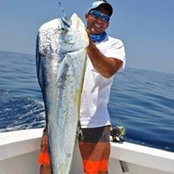 Mark DeCabias billede