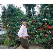 Thùy Trần Quang's photo