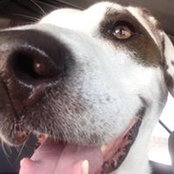Paula Maturo's photo