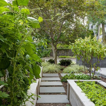Brookline Modern Front Yard