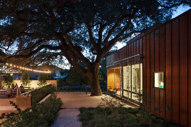 Photo of a large modern drought-tolerant, desert and shade side yard decomposed granite landscaping in Austin for summer.
