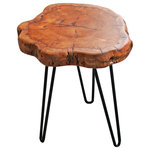Welland - Unique Shape Natural Wood Stump Rustic Surface Side Table, 16" - Precious raw materials: