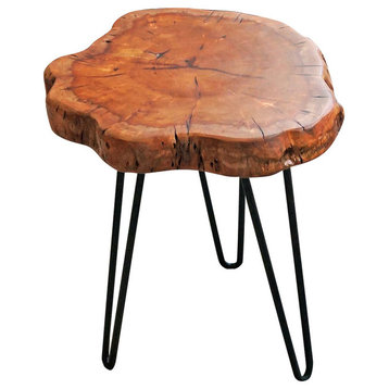 Unique Shape Natural Wood Stump Rustic Surface Side Table, 16"