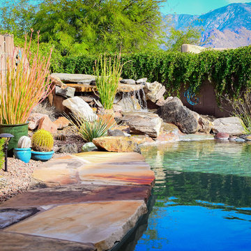 Custom Pools, Stream, Water Feature