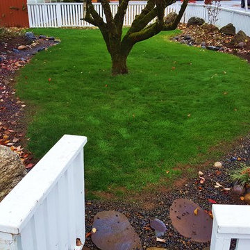 Rain Garden Landscape Makeover with Lawn Reduction