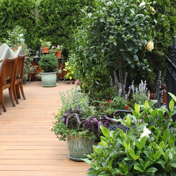 Wisteria & Rose roof deck designs. Visit www.wisteriaandrose.com for more info!