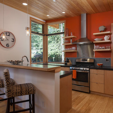 Tahoe Cabin